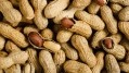  Peanut callus extract, rich in resveratrol, shows promise for hair growth and anti-hair loss treatments. [Getty Images]